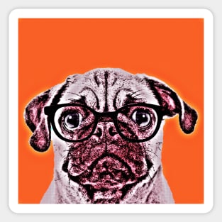 Pop Art Portrait  of Geek Pug in Orange Background - Print / Home Decor / Wall Art / Poster / Gift / Birthday / Pug Lover Gift / Animal print Canvas Print Sticker